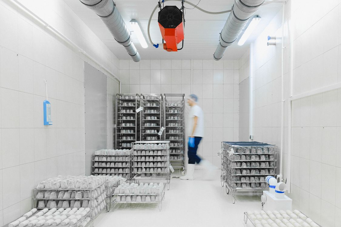 Industrial cold room with a ceiling-mounted evaporator and trolleys of chilled produce